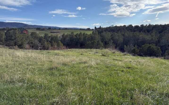 Pictures of Land property located at 14495 Scott Loop, 16184, CO 81624 for sales - image #1