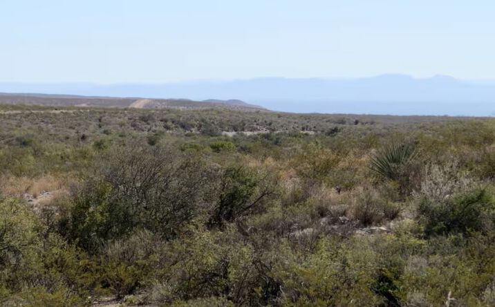 Pictures of Land property located at South of Dryden, Dryden, TX 13053 for sales - image #1