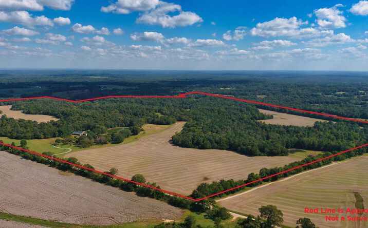 Pictures of Land property located at 695 Middleburg Rd, Hickory Valley, TN 38042 for sales - image #1