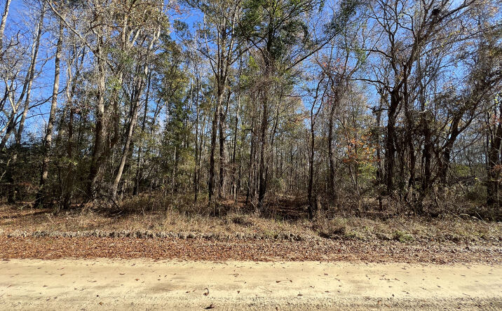 Pictures of Land property located at 0 Vancouver Rd, Bowman, SC 29018 for sales - image #1