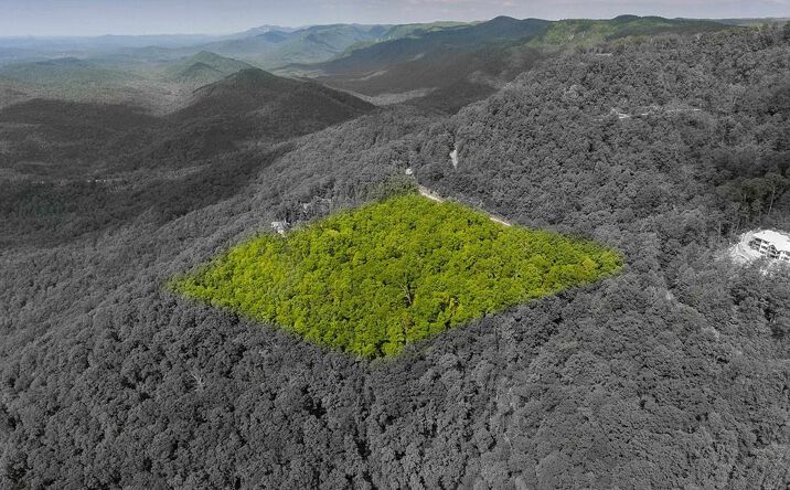 Pictures of Land property located at 1 BENDVIEW, THE CLIFFS VALLEY, SC 29690 for sales - image #1