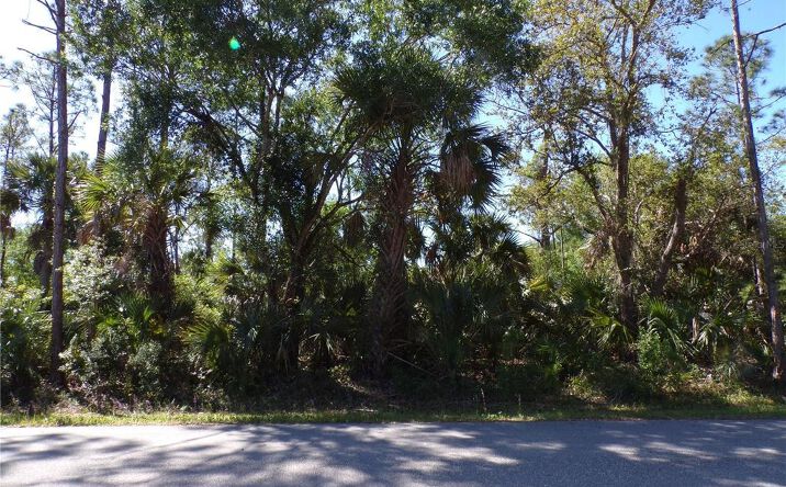 Pictures of Land property located at 26215 Custer Road, Punta Gorda, FL 33955 for sales - image #1
