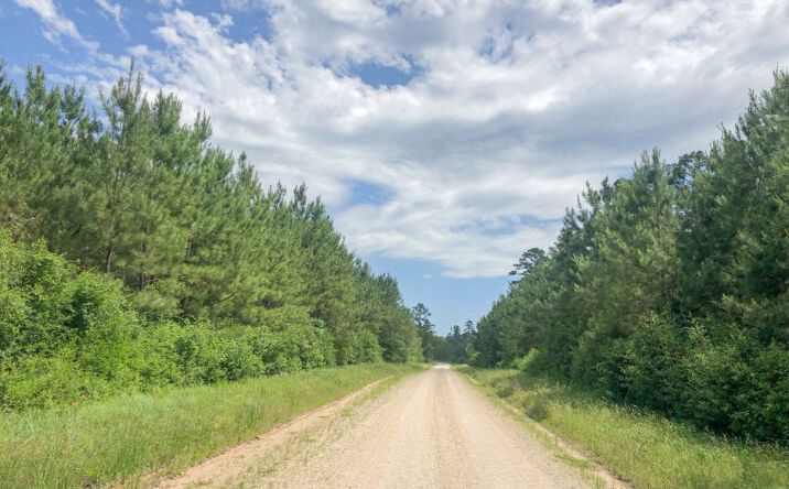 Lost Indian Camp Road, Huntsville, TX 77320 | Crexi.com