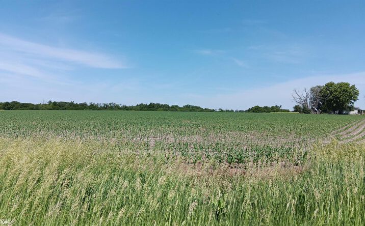 Pictures of Land property located at 0 Ash Avenue, Batavia, IA 52533 for sales - image #1