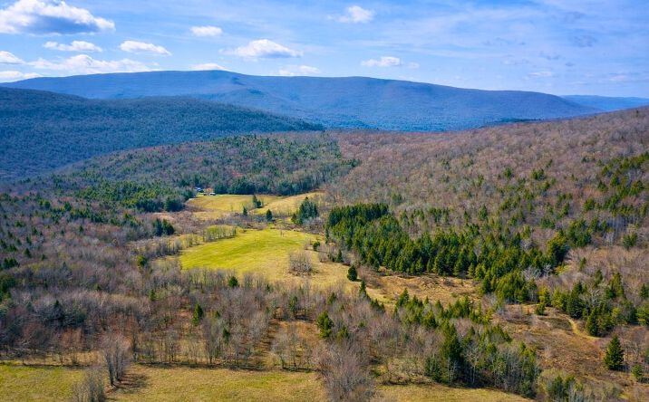 Pictures of Land property located at Hog Mountain, Fleischmanns, NY 12430 for sales - image #1