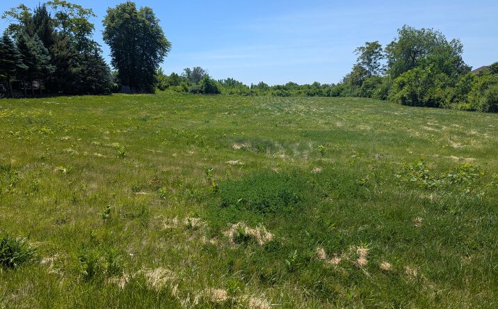 Pictures of Land property located at 29w657 Roosevelt Road, West Chicago, IL 60185 for sales - image #1