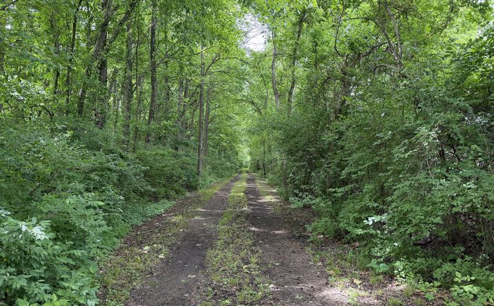 Pictures of Land, Special Purpose property located at Shoemaker Drive, Murphysboro, IL 62966 for sales - image #1