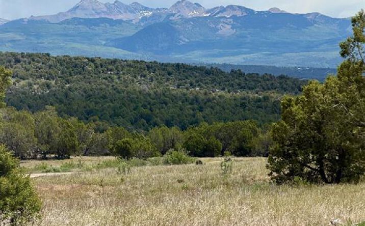 Pictures of Land property located at TBD Road J.9, Mancos, CO 81328 for sales - image #1