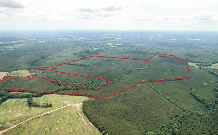 Pictures of Land, Mixed Use, Special Purpose property located at Tbd Pineywood Road #Tbd, Saluda, SC 29138 for sales - image #1