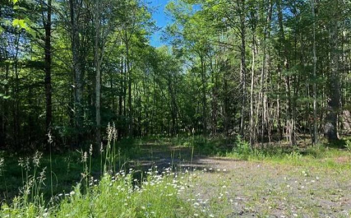 Pictures of Land property located at 98 Norwegian Road, Prattsville, NY 12468 for sales - image #1