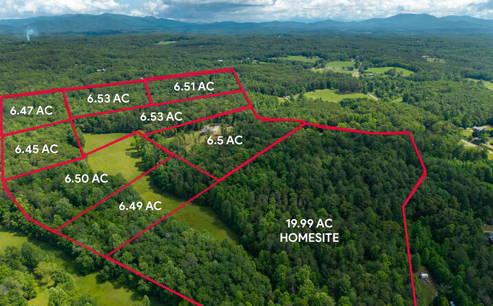 Pictures of Land property located at 5664 Mobile Road, Blue Ridge, GA 30513 for sales - image #1