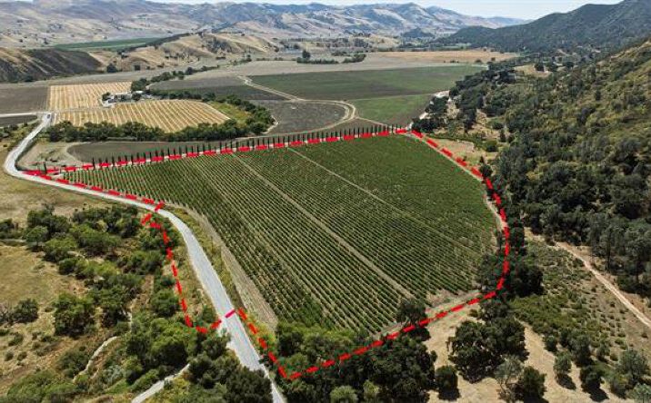 Pictures of Land property located at 24.5 Acres Cienega Road, Hollister, CA 95023 for sales - image #1