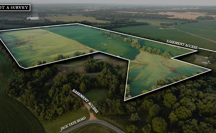 Pictures of Land property located at Jack Tate Road, Obion, TN 38240 for sales - image #1
