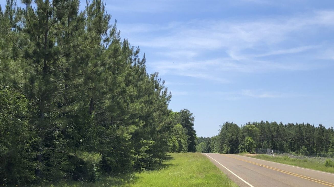 2049 Acres SH 63 / CR 2108 / FM 2991, Burkeville, TX 75932