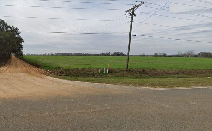 Pictures of Land property located at Lot 2 Davis Road SW, Valdosta, GA 31601 for sales - image #1