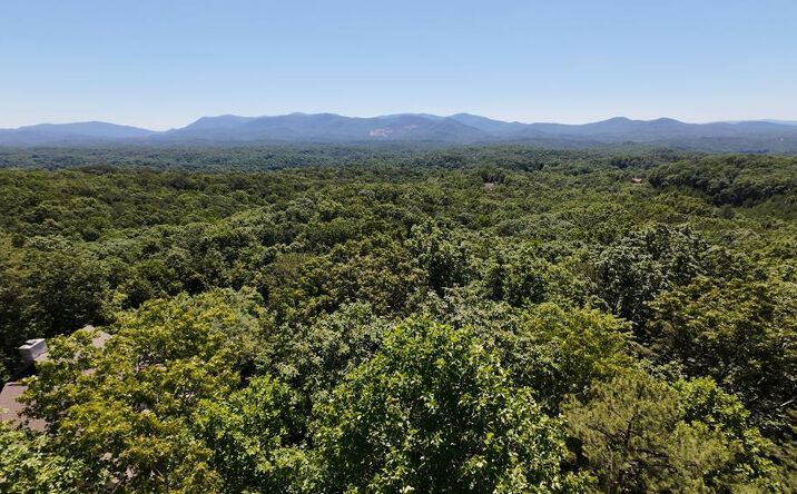 Flagpole Rd, Ellijay