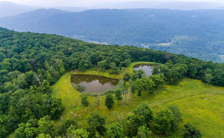 Pictures of Land property located at 890 BALD MOUNTAIN RD, AUSTERLITZ, NY 12017 for sales - image #1