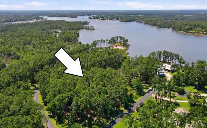 Pictures of Land property located at 555 Homestead Road, Oriental, NC 28571 for sales - image #1