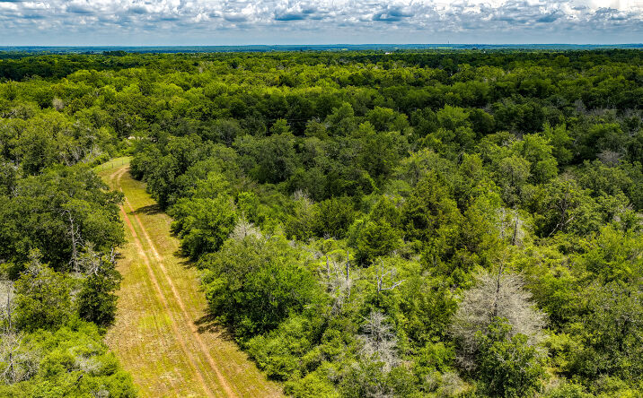 Pictures of Mixed Use, Land property located at 1470 22 HILLS RD, GAUSE, TX 77857 for sales - image #1