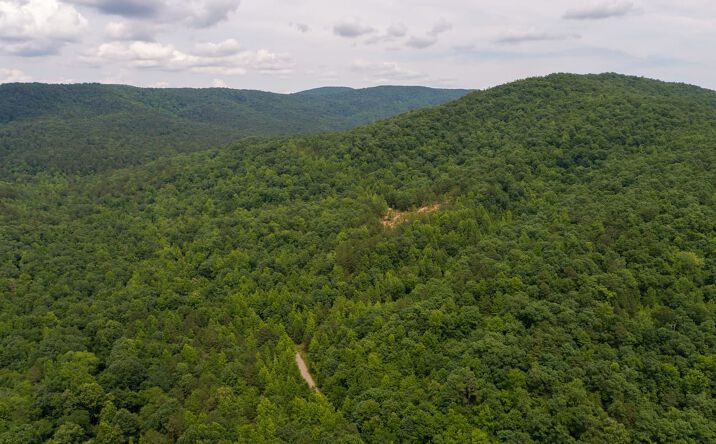 Pictures of Land property located at Tbd Polk Rd 720, Mena, AR 71953 for sales - image #1