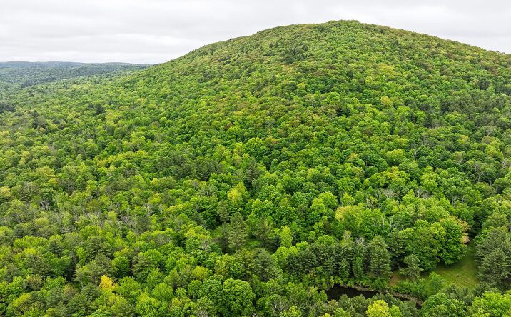Pictures of Land property located at 75 UPPER HOLLOW RD, HILLSDALE, NY 12529-5725 for sales - image #1
