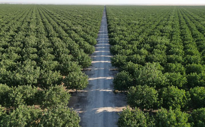 Pictures of Land property located at NEC Hwy 43 & Ave. 16, Delano, CA 93215 for sales - image #1
