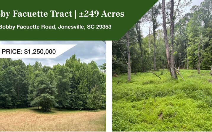 Pictures of Land property located at 1087 Bobby Facuette Road, Jonesville, SC 29353 for sales - image #1