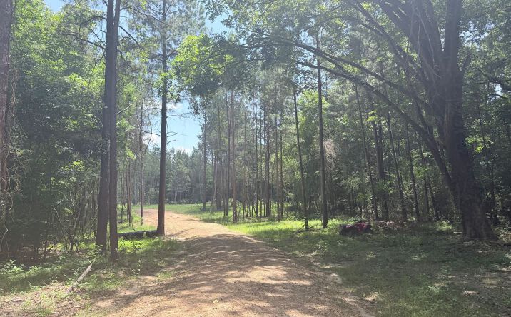 468 Smith County Road 150-a, Morton