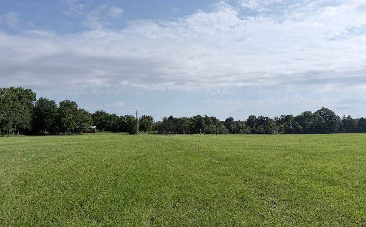 Pictures of Land property located at 106 Hollis Lane, Prentiss, MS 39474 for sales - image #1