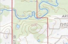 33403539