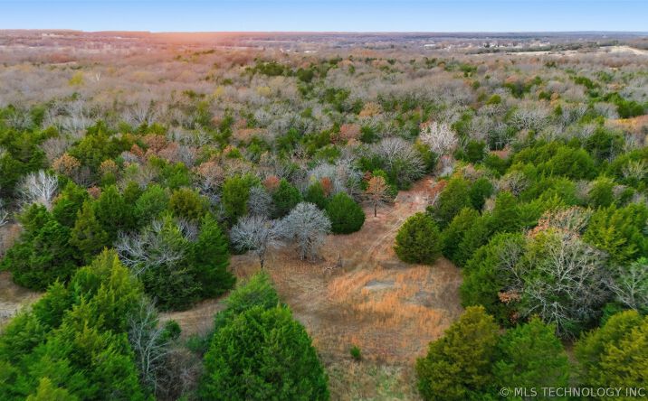 Pictures of Land property located at 4 County Road 3570, Ada, OK 74820 for sales - image #1