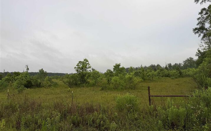James Manning Road, DeRidder