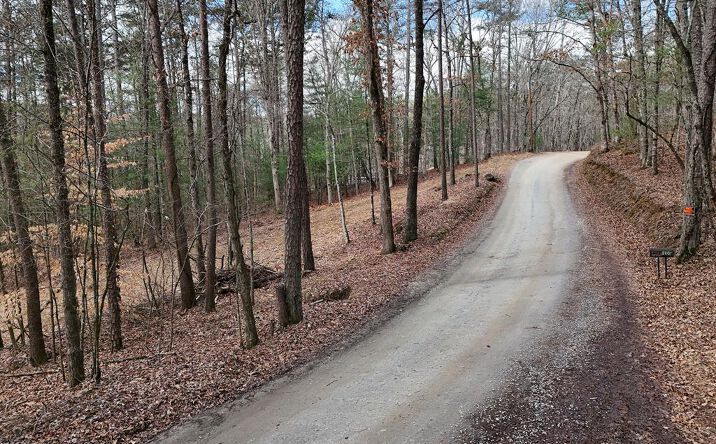 Pictures of Land property located at LT 45A Synacia Drive, Mineral Bluff, GA 30559 for sales - image #1
