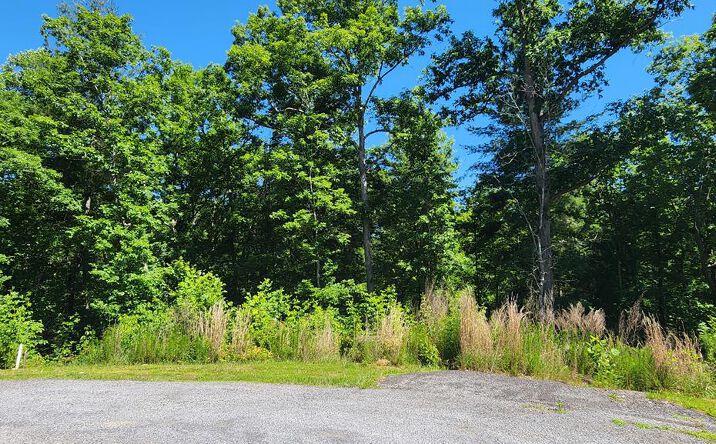 lot 112 Jakes Landing Overlook, Ellijay