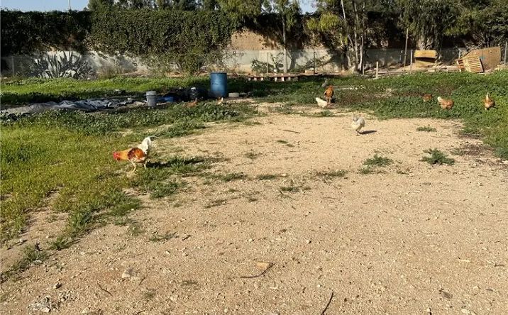 Pictures of Land property located at 200 S Sunol, Los Angeles, CA 90063 for sales - image #1
