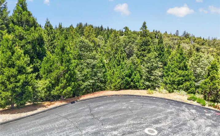 Pictures of Land property located at 372 Redtail Hawk, Lake Arrowhead, CA 92352 for sales - image #1