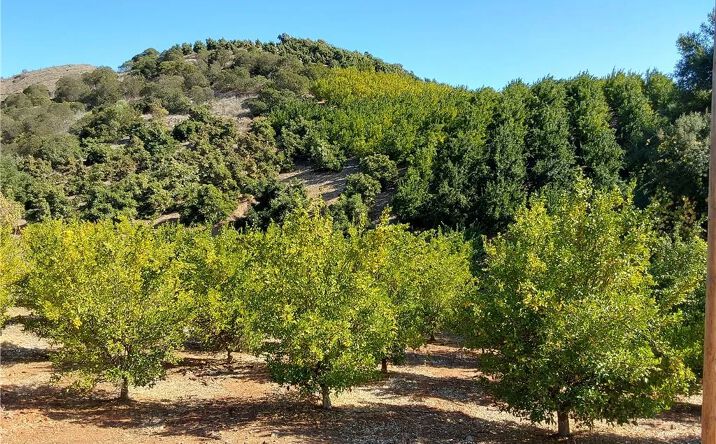 Pictures of Land property located at 3 Via Vaquero, Temecula, CA 92590 for sales - image #1