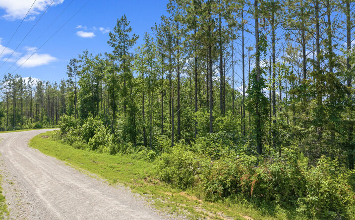 310 Highland Drive, Linden