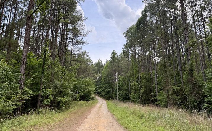 Pictures of Land property located at Cow Creek Road, Meridian, MS 39307 for sales - image #1