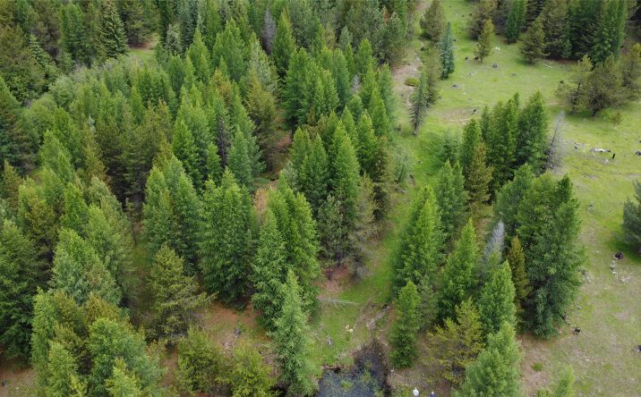 Pictures of Land property located at TBD Yaak River Road, TROY, MT 59935 for sales - image #1