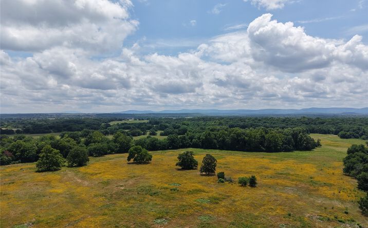 Pictures of Land property located at E County Road 1260, Stigler, OK 74462 for sales - image #1