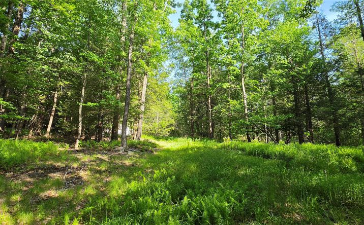Pictures of Land, Special Purpose property located at Church aka Pan Am Road, Mountain Dale, NY 12763 for sales - image #1