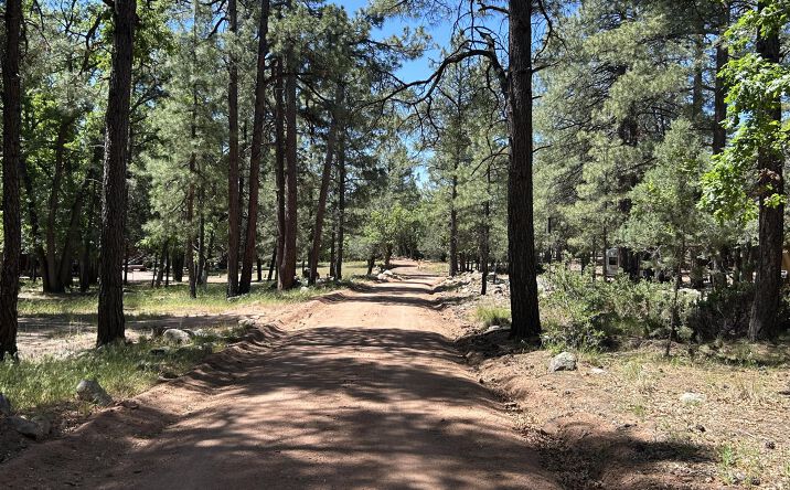 Pictures of Land, Multifamily property located at 374 N Majestic Elk Lane, Payson, AZ 85541 for sales - image #1