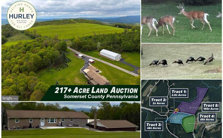 Pictures of Mixed Use, Land property located at 230 GRANDVIEW DR, HYNDMAN, PA 15545-9200 for sales - image #1