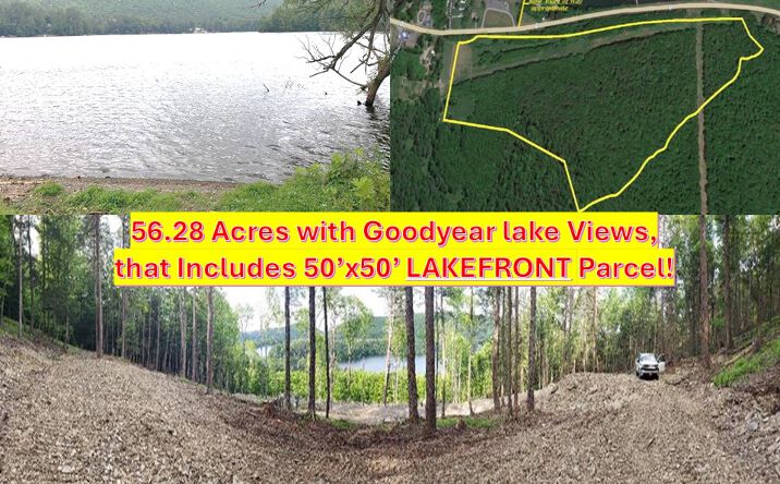 Pictures of Land property located at Route 28, Portlandville, NY 13834 for sales - image #1