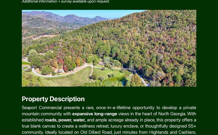 Pictures of Multifamily, Land, Business for Sale property located at 716 Georgia 246, Dillard, GA 30537 for sales - image #1