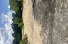 33685360