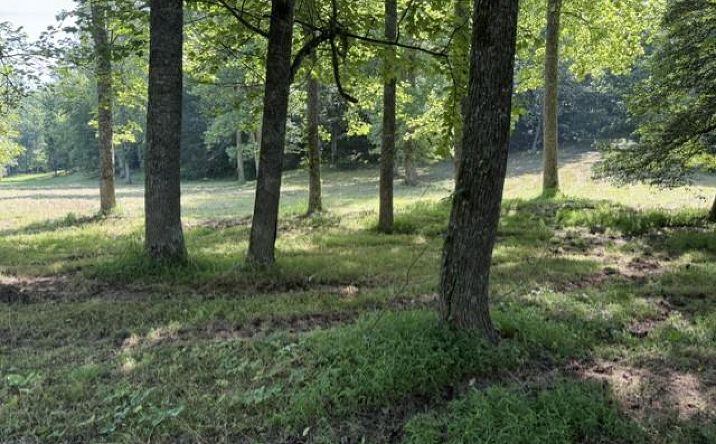 Lot 6 Clear Creek Preserve Way, Ellijay