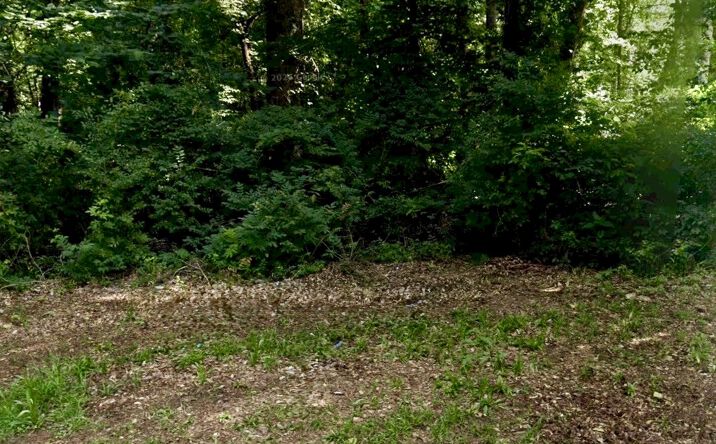 Pictures of Land property located at 167 BARRINGTON HALL DR, MACON-BIBB COUNTY, GA 31220 for sales - image #1