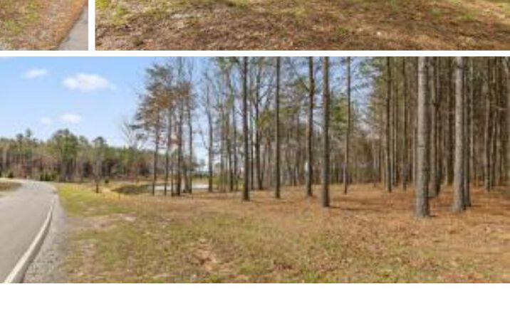 Pictures of Land property located at 0 Pine Knot Pass 33, Jasper, TN 37347 for sales - image #1